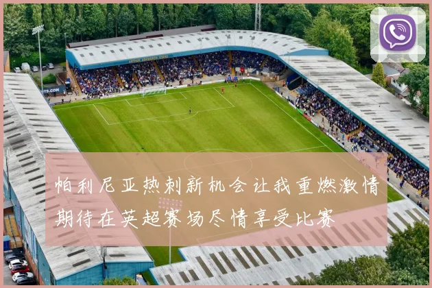 帕利尼亚热刺新机会让我重燃激情期待在英超赛场尽情享受比赛