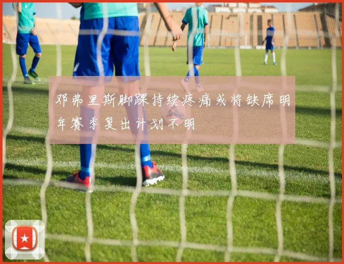 邓弗里斯脚踝持续疼痛或将缺席明年赛季复出计划不明